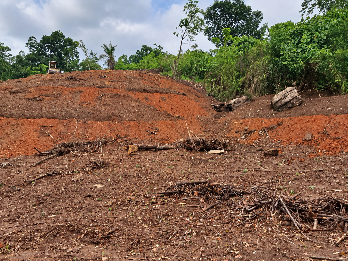 Preparing the land at the Ransiya cinnamon estate